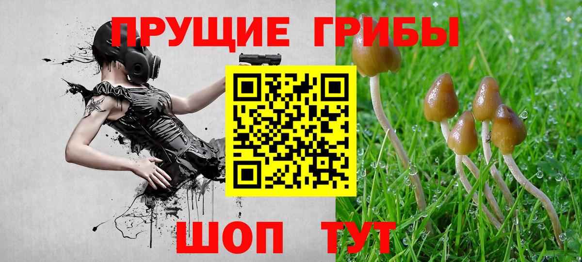 магазин  наркотиков  Галлюциногенные грибы Cubensis  Псилоцибиновые грибы Psilocybine cubensis  Вход с VPN  Ростов-на-Дону 