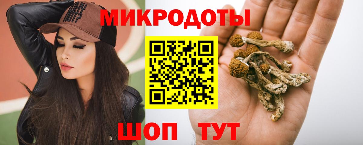 Псилоцибиновые грибы Psilocybine cubensis Ростов-на-Дону